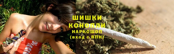 дживик Каменка