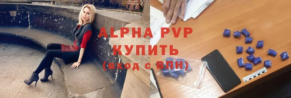 дживик Каменка