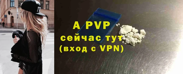 дживик Каменка