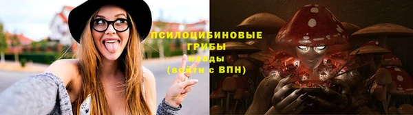 твердый Каменногорск