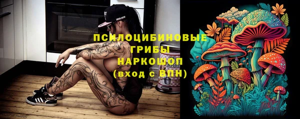 твердый Каменногорск