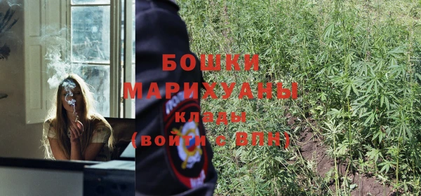 дживик Каменка