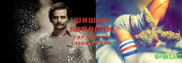 дживик Каменка