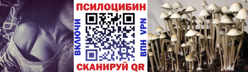 Галлюциногенные грибы Psilocybine cubensis  Плавск 